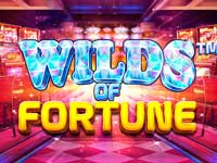 Winnend Spel